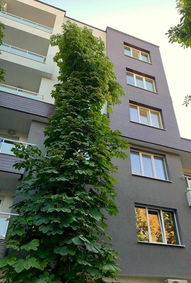 Comfort Deluxe Flat Русе Экстерьер фото